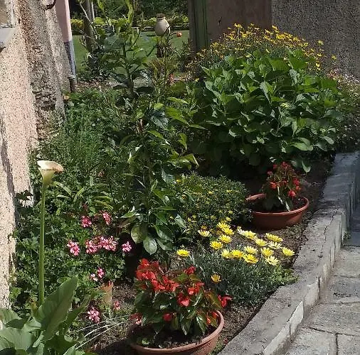 La Del Mulino 招待所