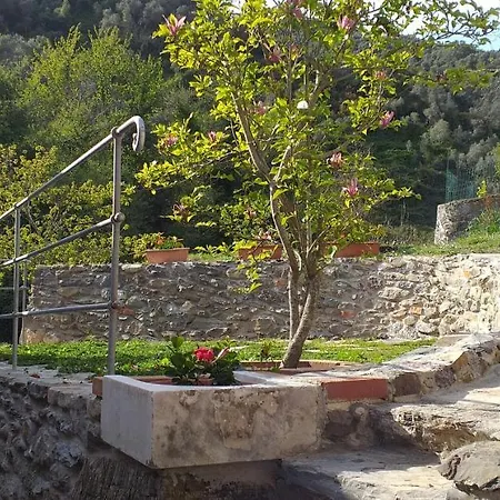 La Del Mulino 3* ليفانتو